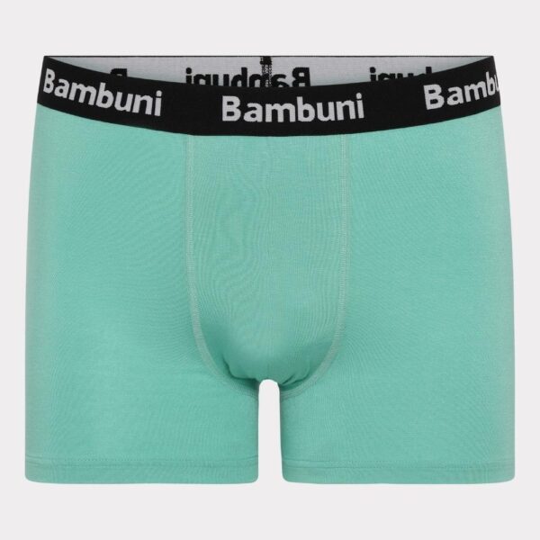 Bambus underbukser i mint til mænd 2XL